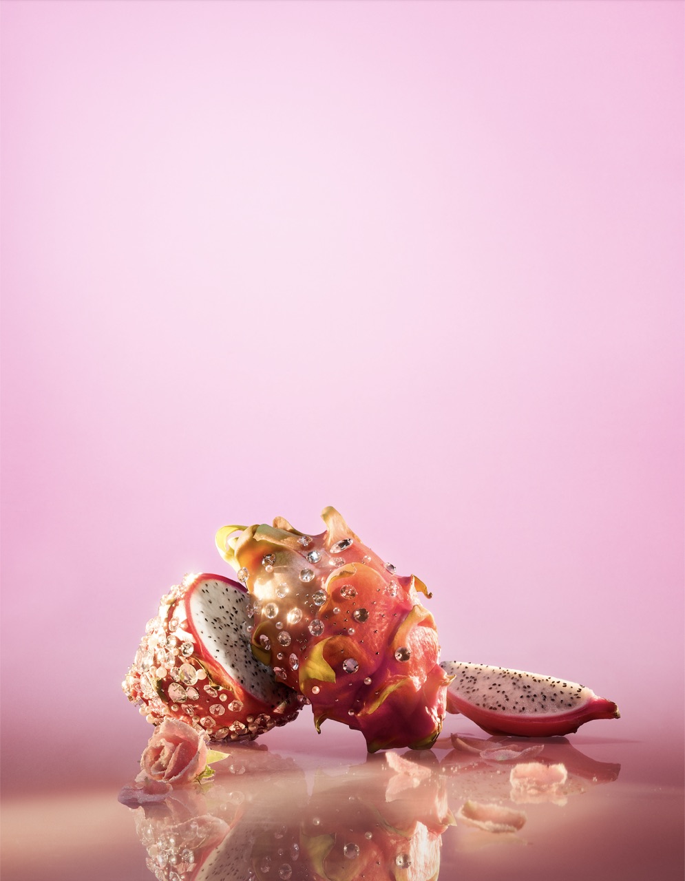 Pink Holiday